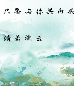 只愿与你共白头