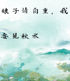 娘子请自重，我要写书了