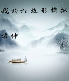我的六边形模拟器