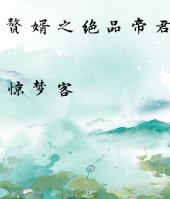 赘婿之绝品帝君