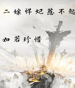 二嫁悍妃惹不起