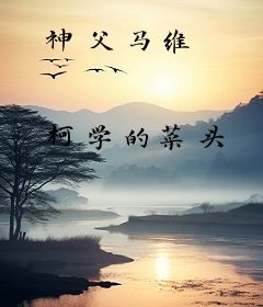 神父马维