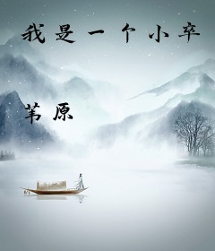 我是一个小卒