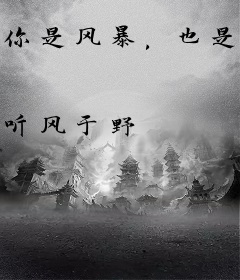 你是风暴，也是寂寥