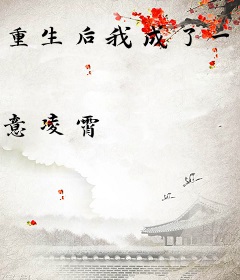 重生后我成了一品将军夫人