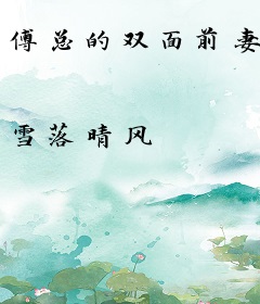 傅总的双面前妻