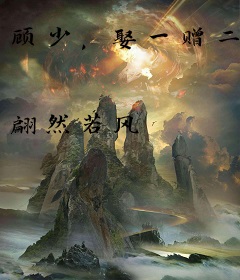 顾少，娶一赠二