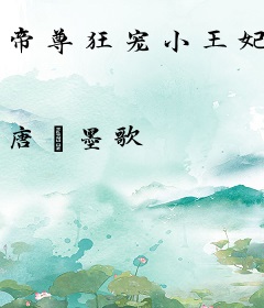 帝尊狂宠小王妃