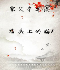 家父辛弃疾