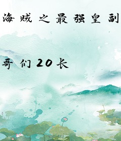 海贼之最强皇副Mr3