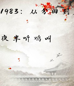 1983：从分田到户开始