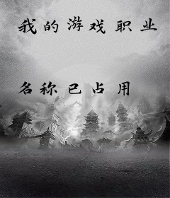 我的游戏职业