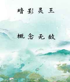 暗影灵王