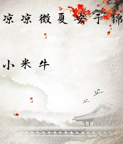 凉凉微夏安于锦年