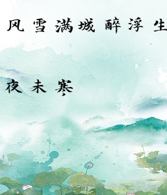 风雪满城醉浮生