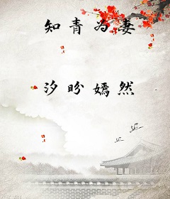 知青为妻