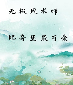 无极风水师