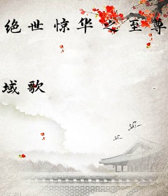 绝世惊华之至尊七小姐