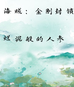 海贼：金刚封锁