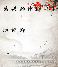 总裁的神秘小秘