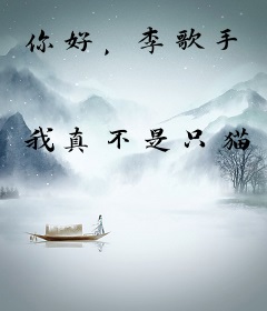 你好，李歌手