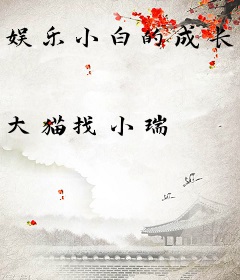 娱乐小白的成长之路