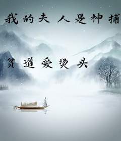 我的夫人是神捕