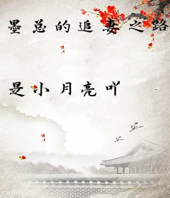 墨总的追妻之路