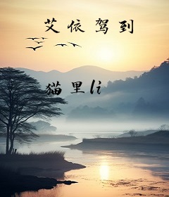 艾依驾到