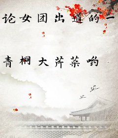 论女团出道的一千零一式