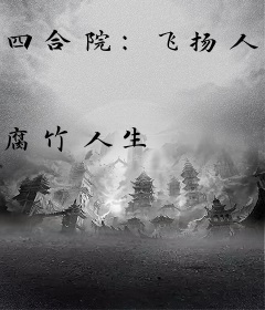 四合院：飞扬人生