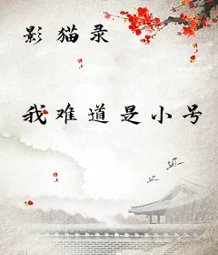 影猫录