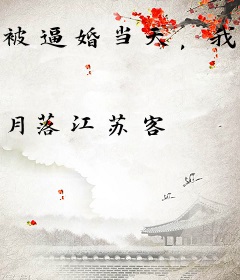 被逼婚当天，我错撩了豪门继承人