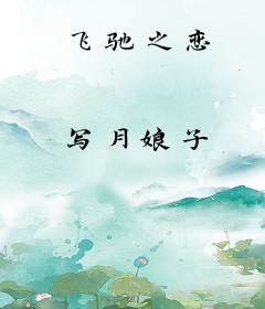 飞驰之恋