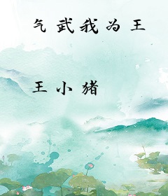气武我为王