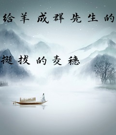 给羊成群先生的信
