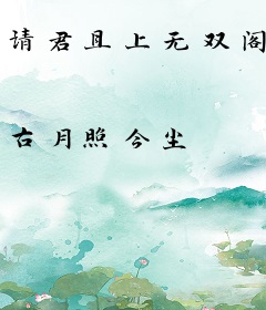 请君且上无双阁