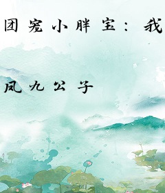 团宠小胖宝：我有四个大佬爹爹