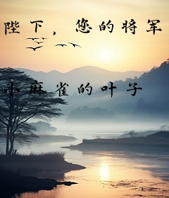 陛下，您的将军皇后是个兄控