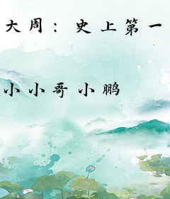 大周：史上第一刺局