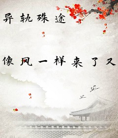 异轨殊途