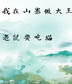 我在山寨做大王