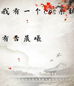我有一个cos系统