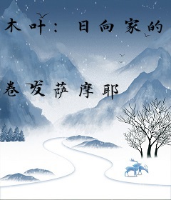 木叶：日向家的弓兵