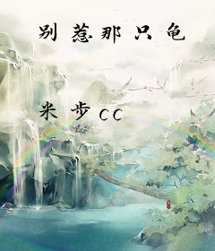 别惹那只龟