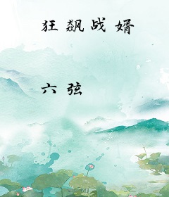 狂飙战婿