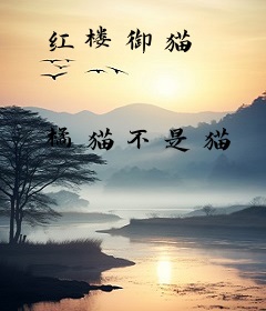 红楼御猫