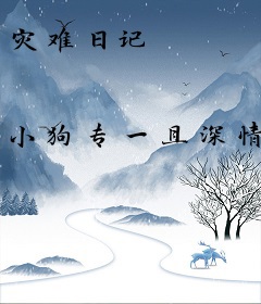 灾难日记