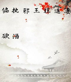 偏执邪王狂追妻