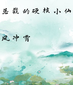 总裁的硬核小仙女